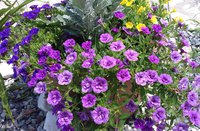 20170712_140427.jpg
