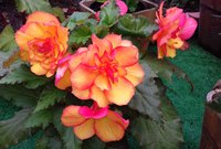 20170702_084018.jpg