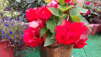 20170806_173428.jpg