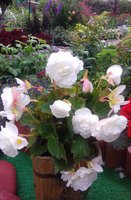 20170809_100610.jpg