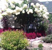 20170825_134939-1.jpg