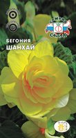 бегония Шанхай.jpg