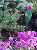 20170524_172100.jpg