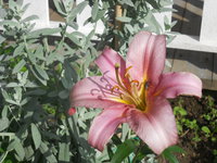 DSCN4097.JPG