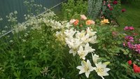 DSC_1253.JPG