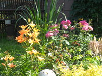 DSCN4688.JPG