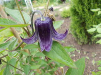 DSCN1110.JPG