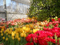 DSCN0181.JPG