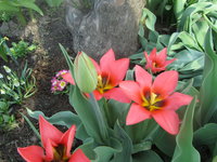 IMG_5224.jpg 1.jpg