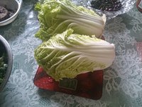 DSC_9150.JPG