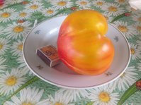 image.jpeg