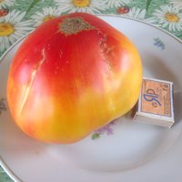 image.jpeg
