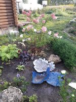 20180828_181404.jpg