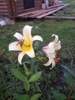 20180724_204617.jpg