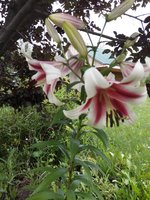 20180722_144141.jpg
