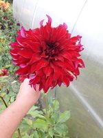 20180909_160308.jpg