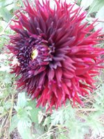 20180909_160401.jpg