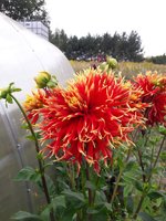 20180909_160424.jpg