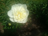 DSC_9247.JPG