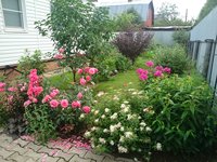 DSC_0281_1.JPG