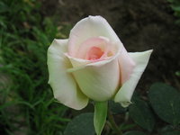 IMG_7744.jpg 3.jpg