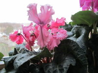 IMG_6512.JPG