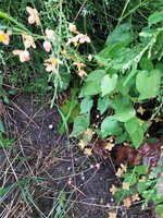 20190510_190235.jpg