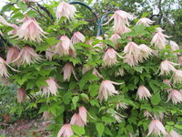IMG_7000.jpg 1.jpg