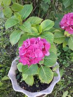 20190703_184137.jpg