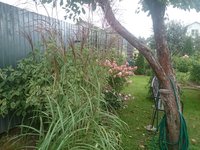 DSC_9792.JPG