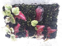 20191007_115945.jpg