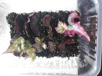 20191007_115951.jpg