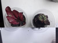 20191007_120000.jpg