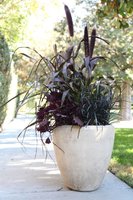 a3b7259570e640a16450aa88ee695d33--patio-planters-diy-patio.jpg