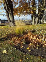 IMG-20191111-WA0100.jpg