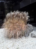 IMG-20191108-WA0004.jpg