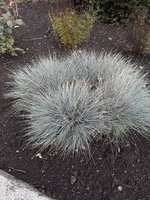 IMG-20191106-WA0084.jpg