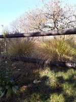 IMG-20191111-WA0098.jpg