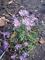 IMG-20191111-WA0018.jpg