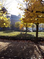 IMG-20191111-WA0038.jpg
