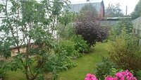 DSC_9559.JPG