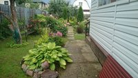 DSC_9565.JPG