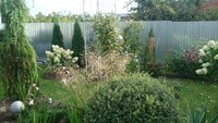 DSC_9708.JPG
