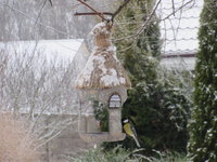IMG_3391.JPG