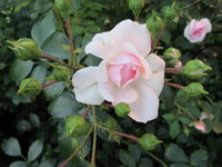 IMG_0713.JPG
