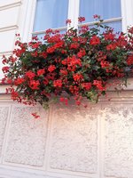IMG-20191216-WA0000.jpg