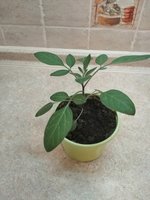 IMG_20200105_162431.jpg