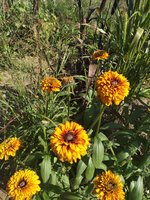 IMG_20190824_143501_BURST002.jpg