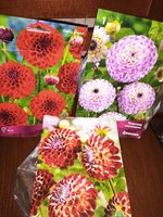 IMG_20200130_074033.jpg