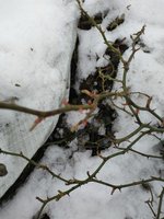 IMG_20200201_152739.jpg